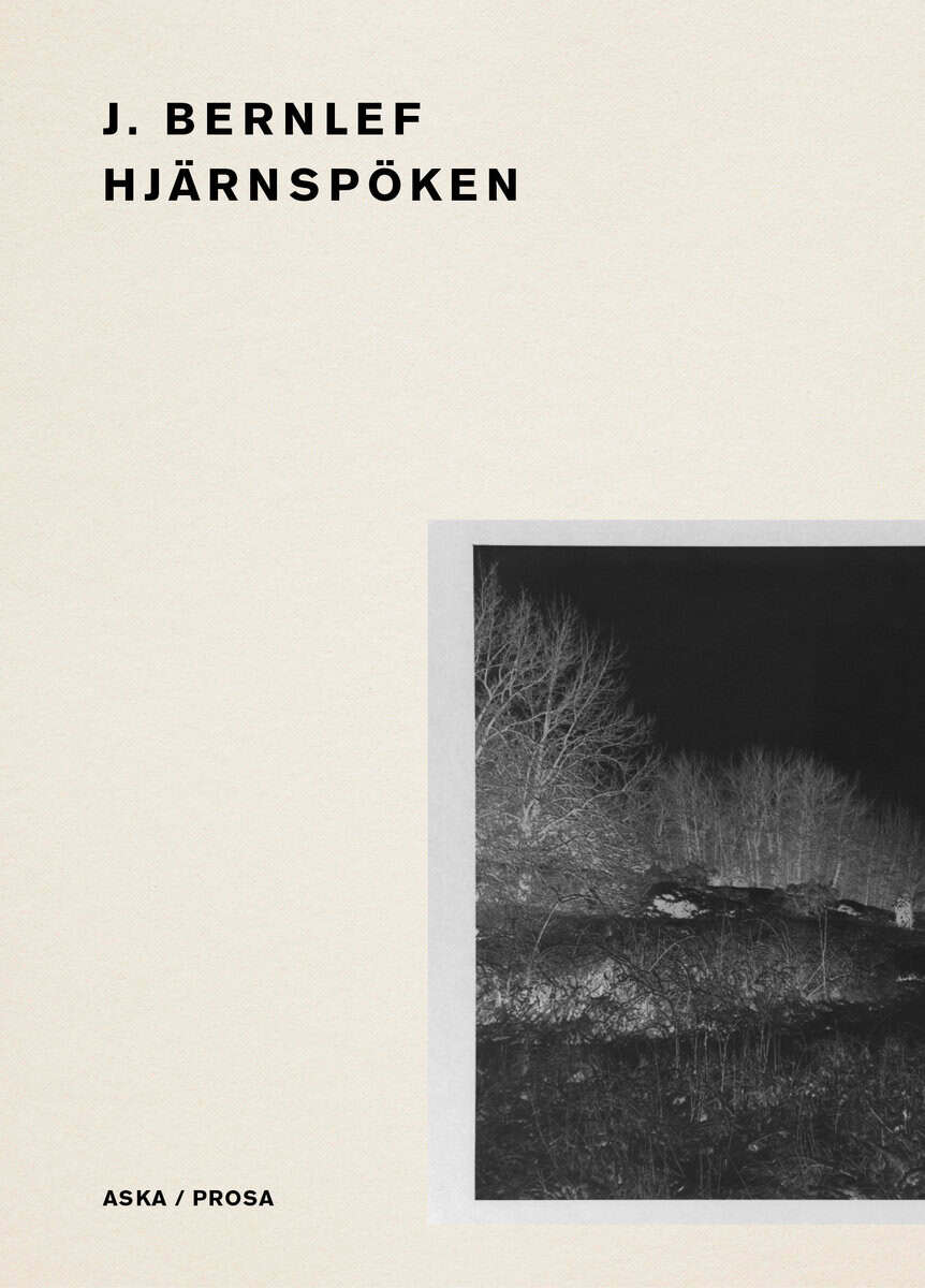 J. Bernlef : Hjärnspöken