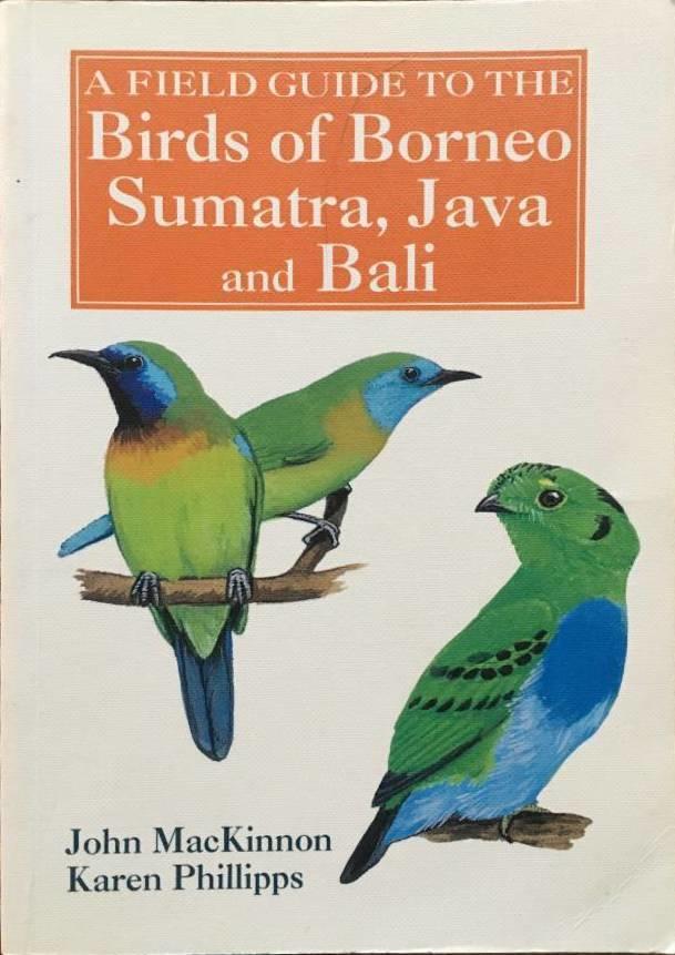 J MacKinnon ; K Phillipps : A Field guide to the birds of Borneo, Sumatra, Java and Bali