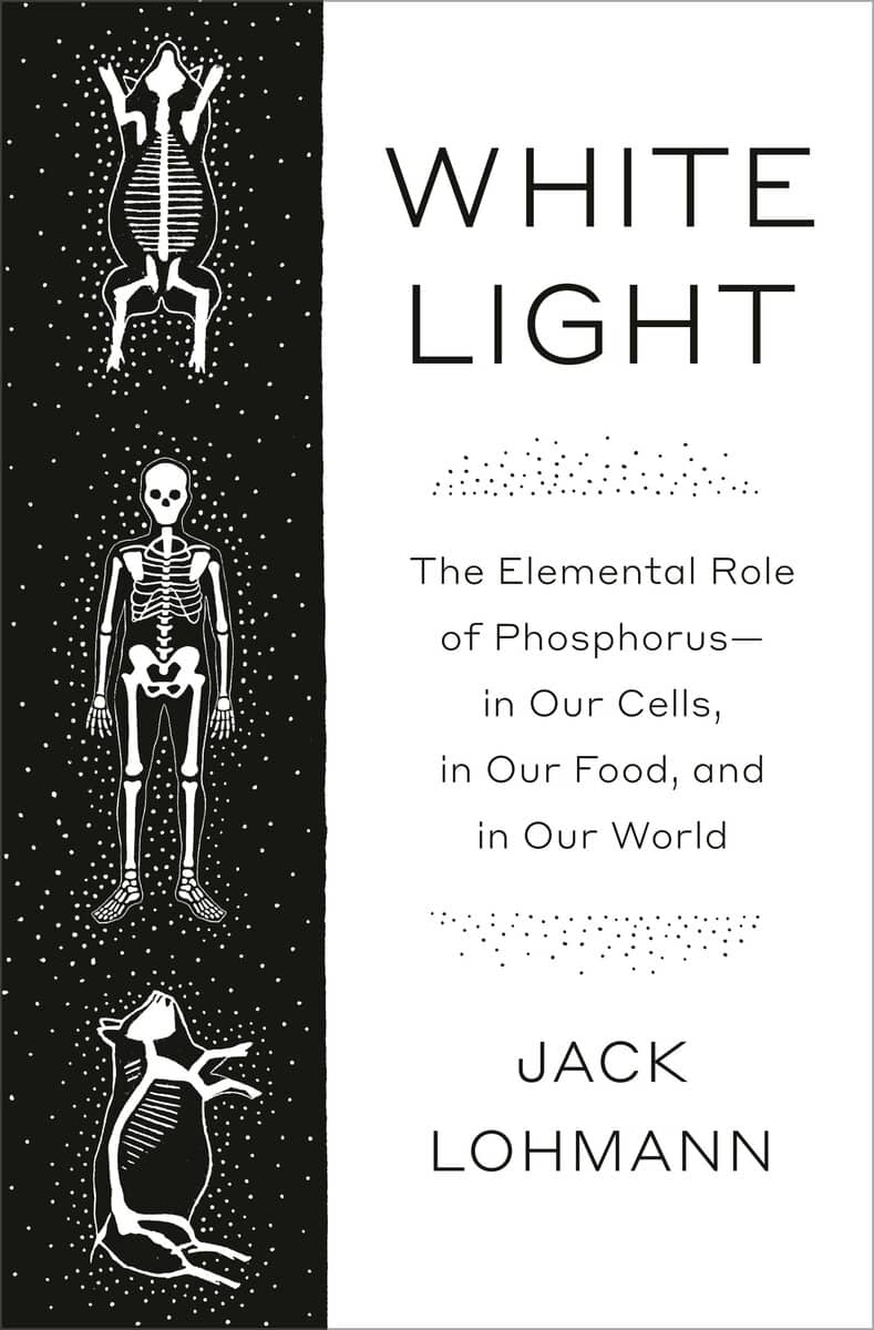 Jack Lohmann : White Light