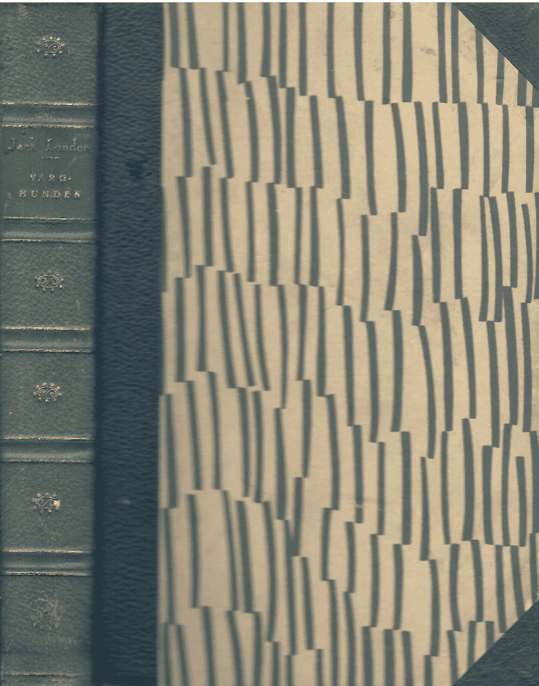 Jack London : Varghunden