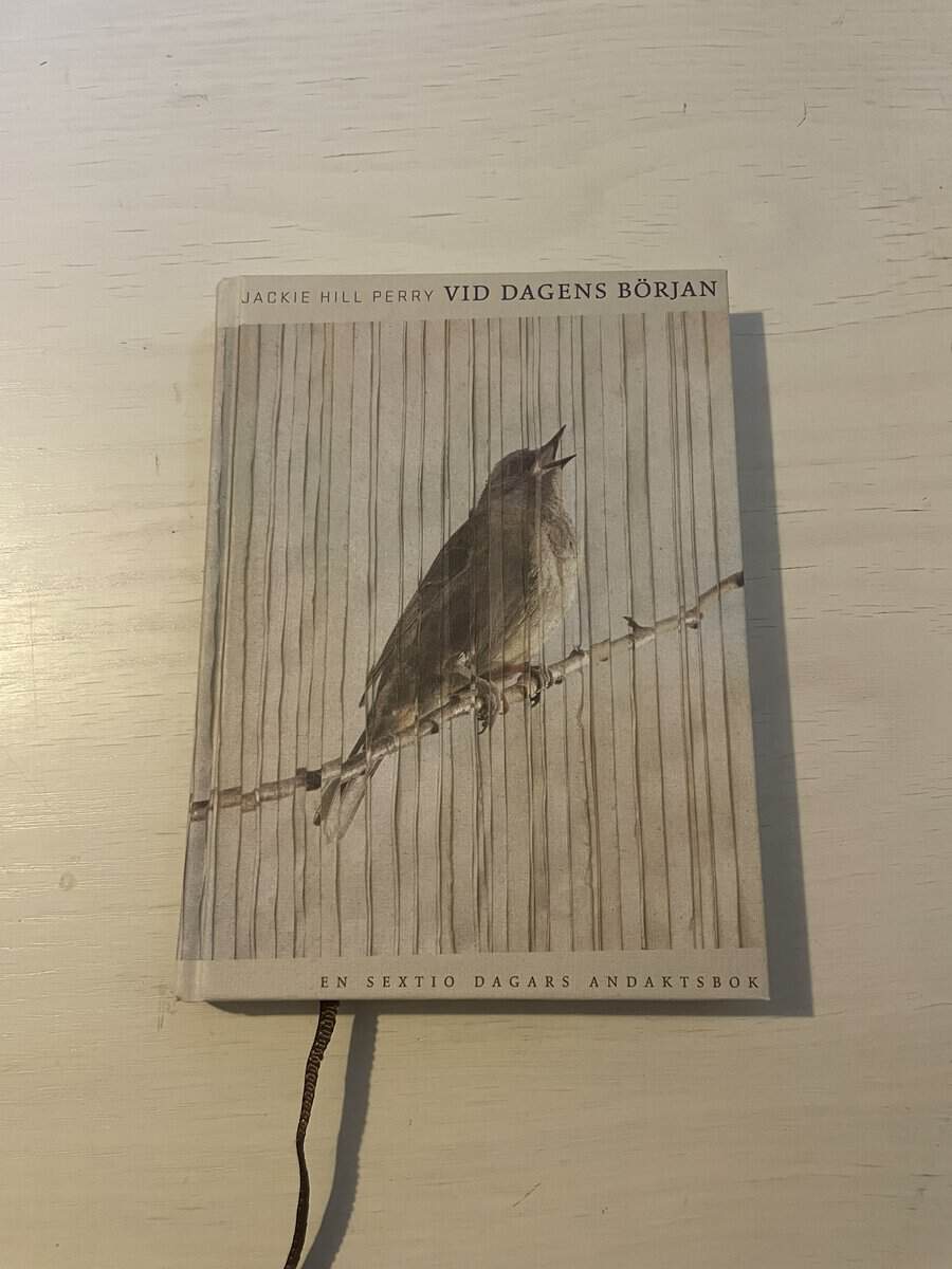Jackie Hill Perry : Vid dagens början