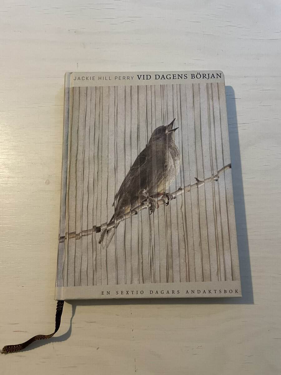 Jackie Hill Perry : Vid dagens början