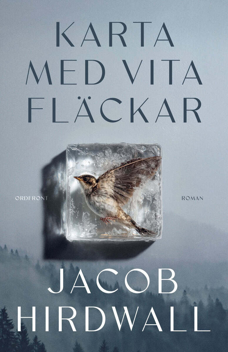 Jacob Hirdwall : Karta med vita fläckar
