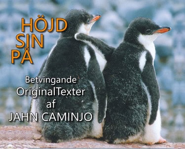 Jahn Caminjo : På sin höjd