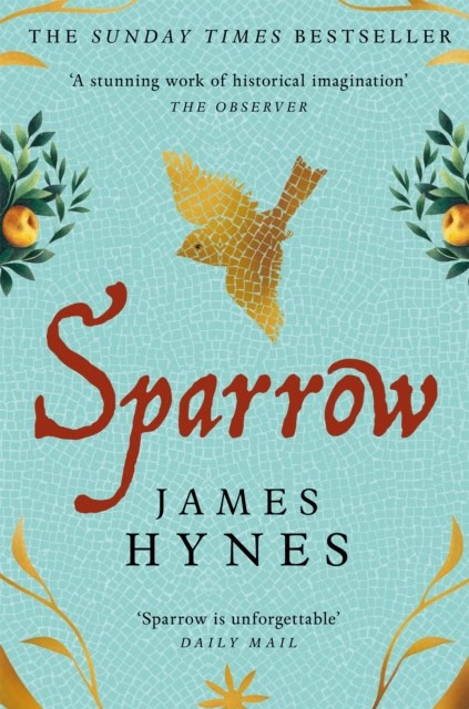 James Hynes : Sparrow
