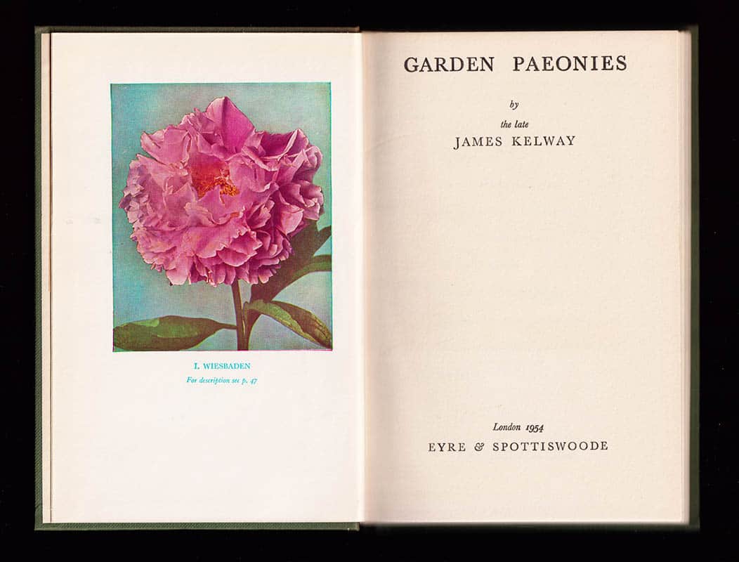 James Kelway : Garden Paeonies (pioner)