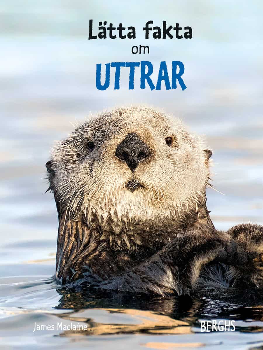 James Maclaine : Lätta fakta om uttrar