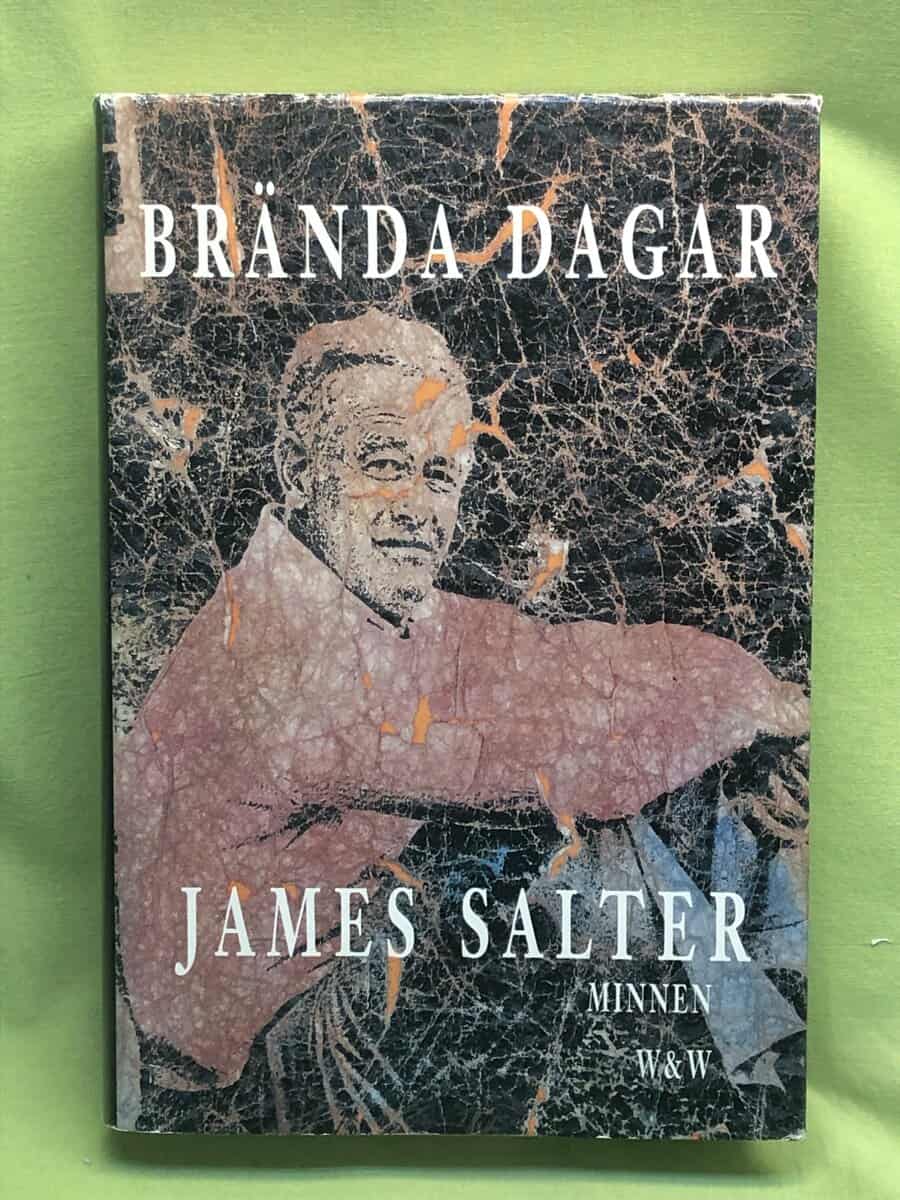 James Salter : Brända dagar