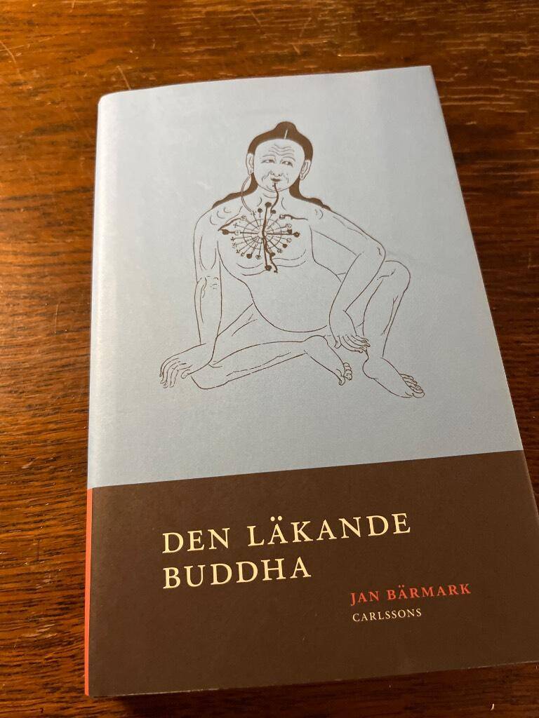 Jan Bärmark : Den läkande Buddha