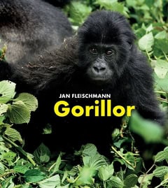 Jan Fleischmann : Gorillor : en spännande upptäcktsresa i Kongo