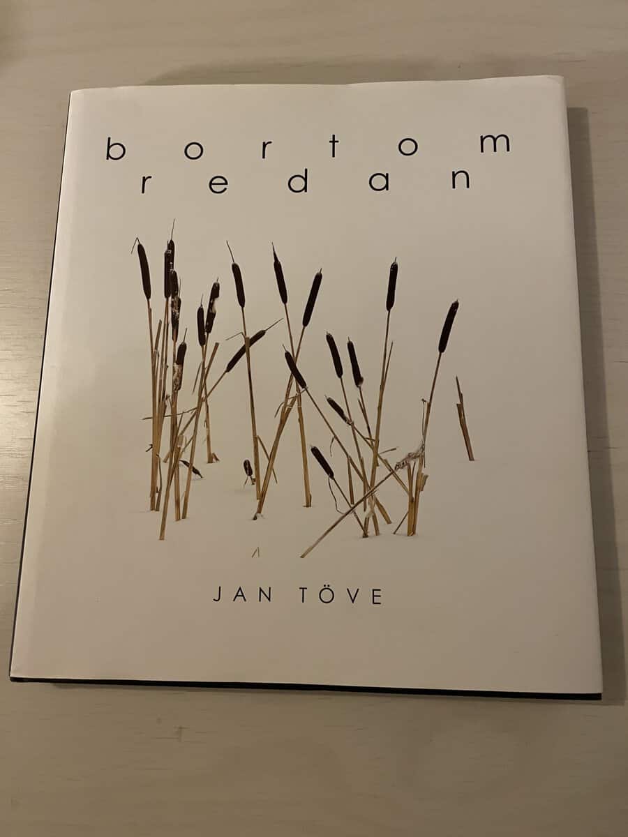 Jan Töve : Bortom redan