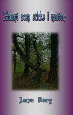 Jane Berg : Sådant som sticks i natten