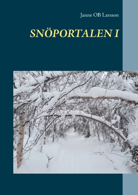 Janne OB Larsson : Snöportalen