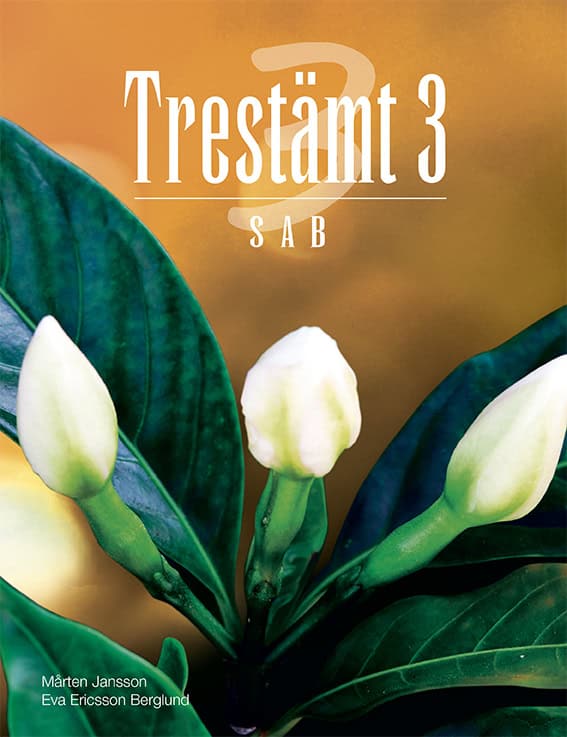 Jansson, Mårten ; Ericsson Berglund, Eva : Trestämt 3 SAB