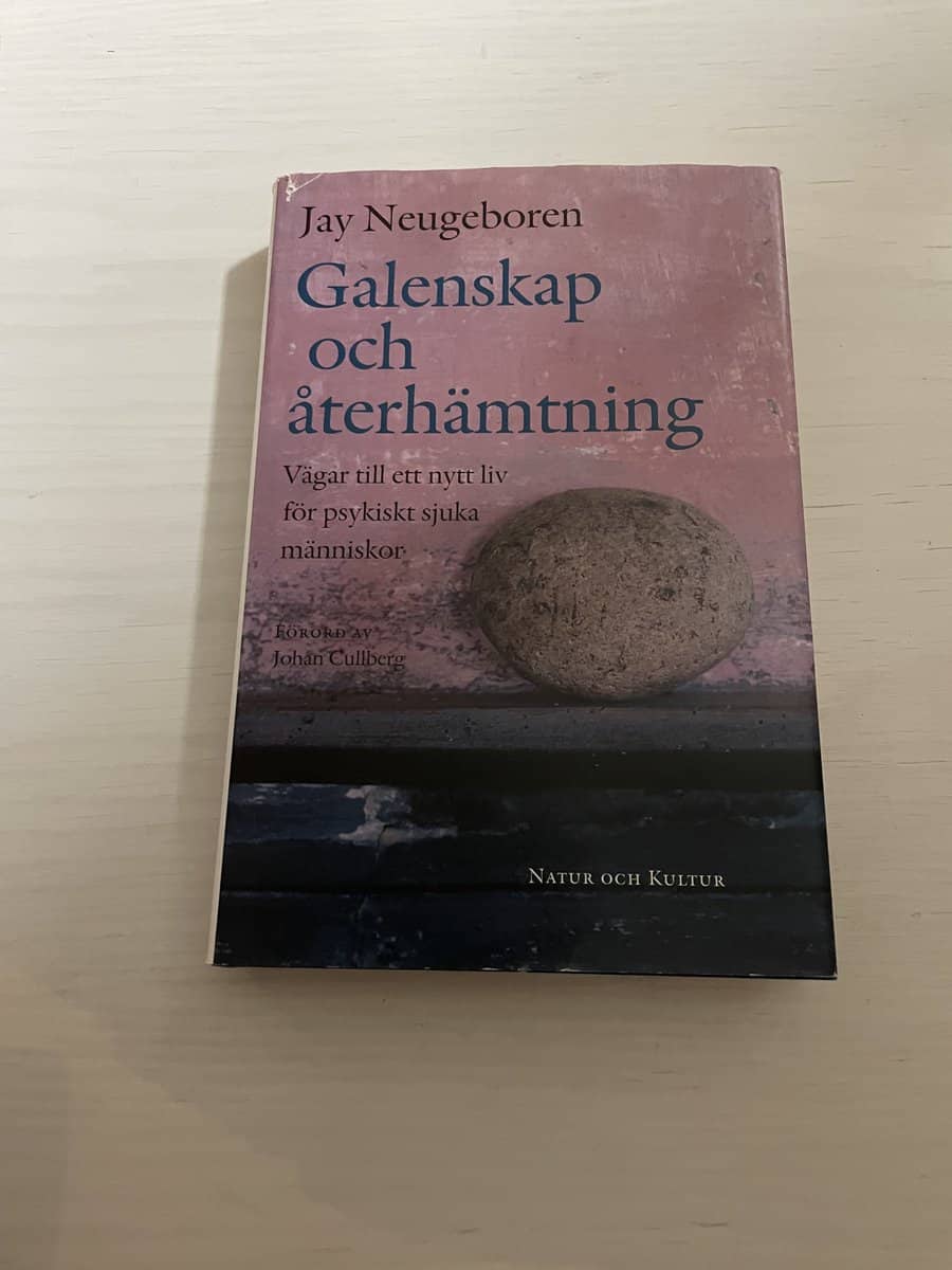 Jay Neugeboren : Galenskap och återhämtning