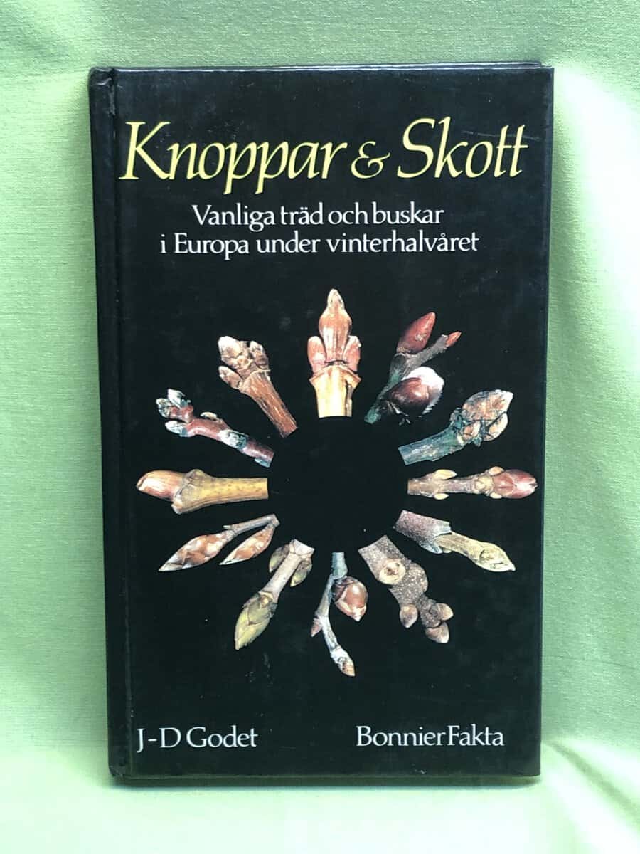 Jean-Denis Godet : Knoppar & skott