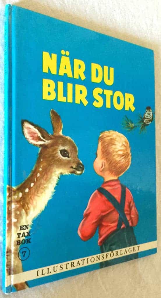 Jean Fritz ; Elisabeth Webbe : När du blir stor