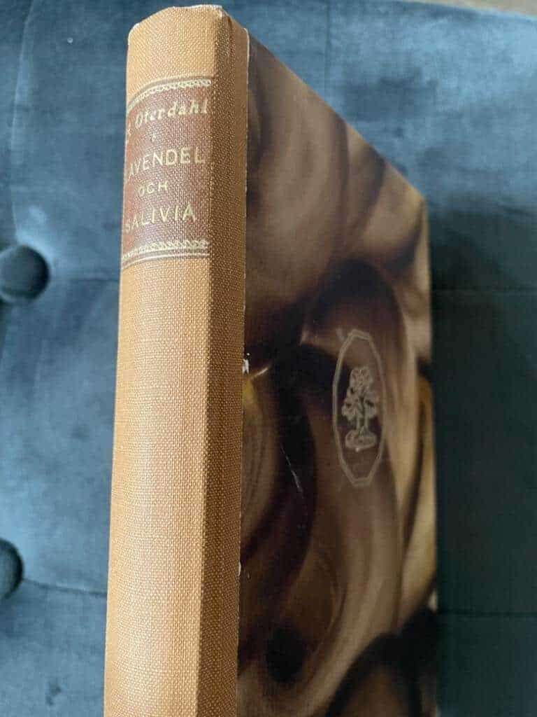 Jeana Otherdahl : Lavendel och salivia