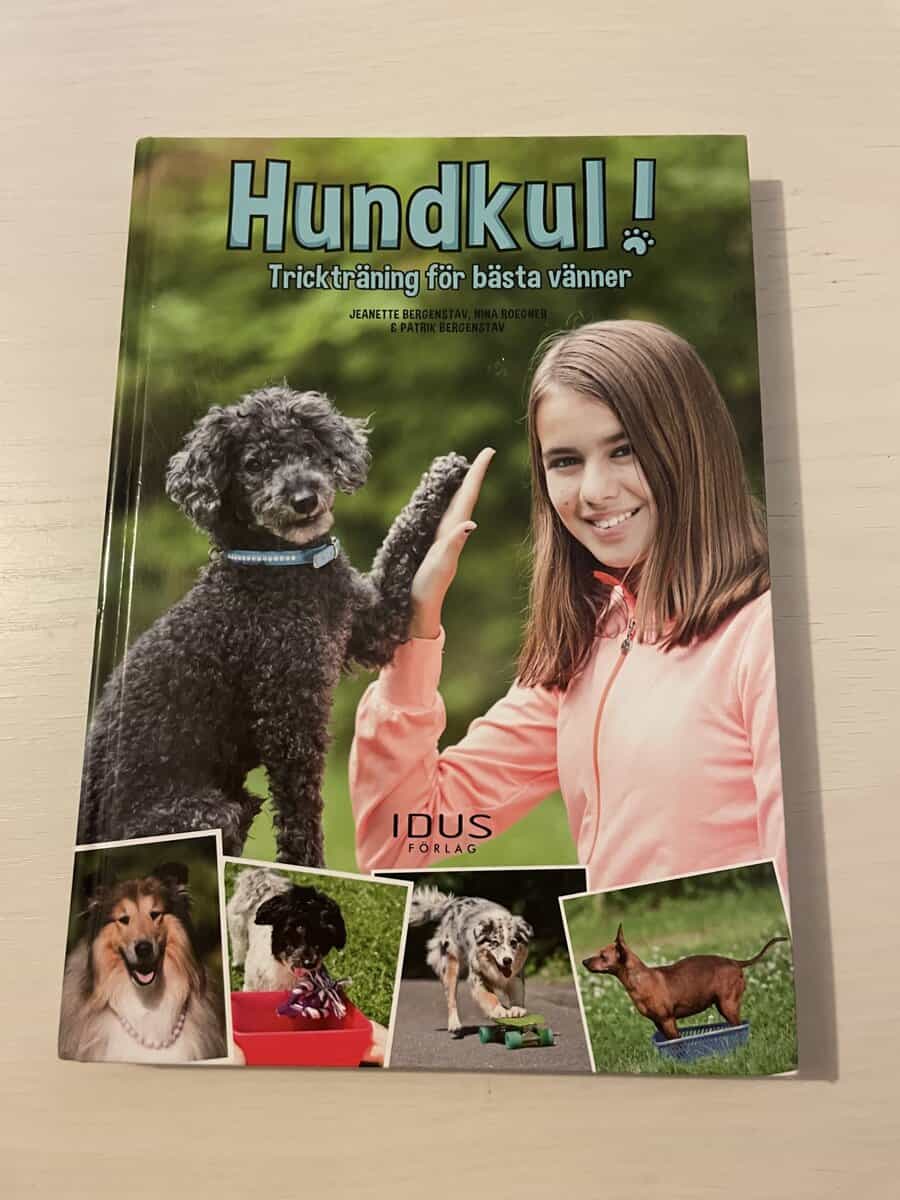 Bergenstav, Jeanette, Roegner, Nina : Hundkul! trickträning för bästa vänner