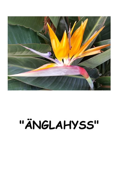 Jeanette Sigvardsson : Änglahyss eller Tur med stor G