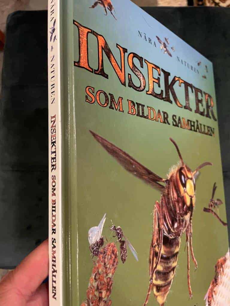 Jen Green : Insekter som bildar samhällen