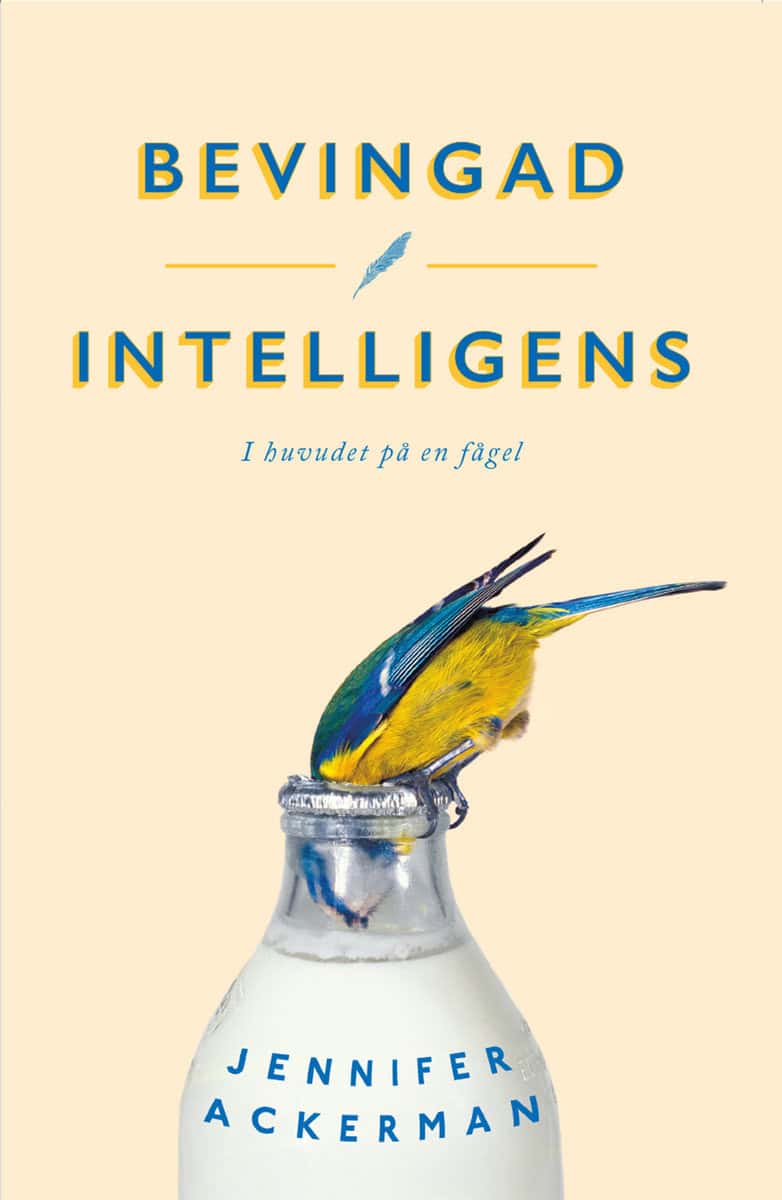 Jennifer Ackerman : Bevingad intelligens