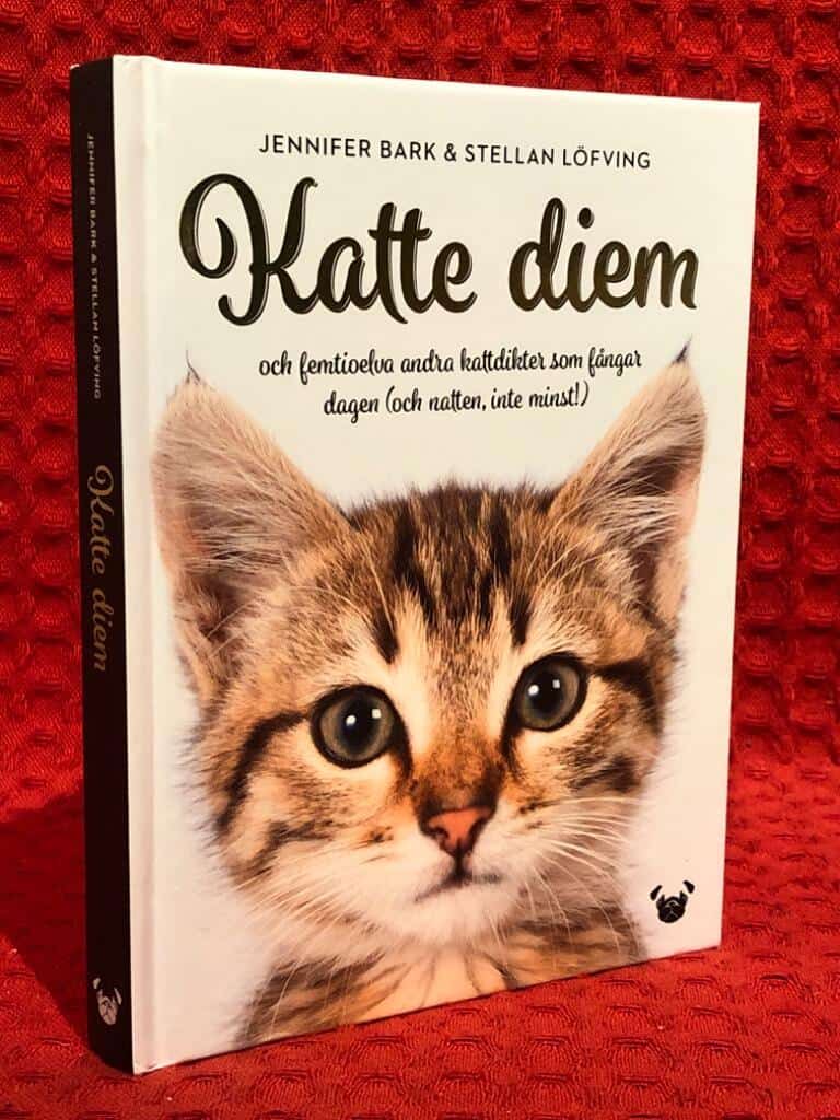 Jennifer Bark : Katte diem
