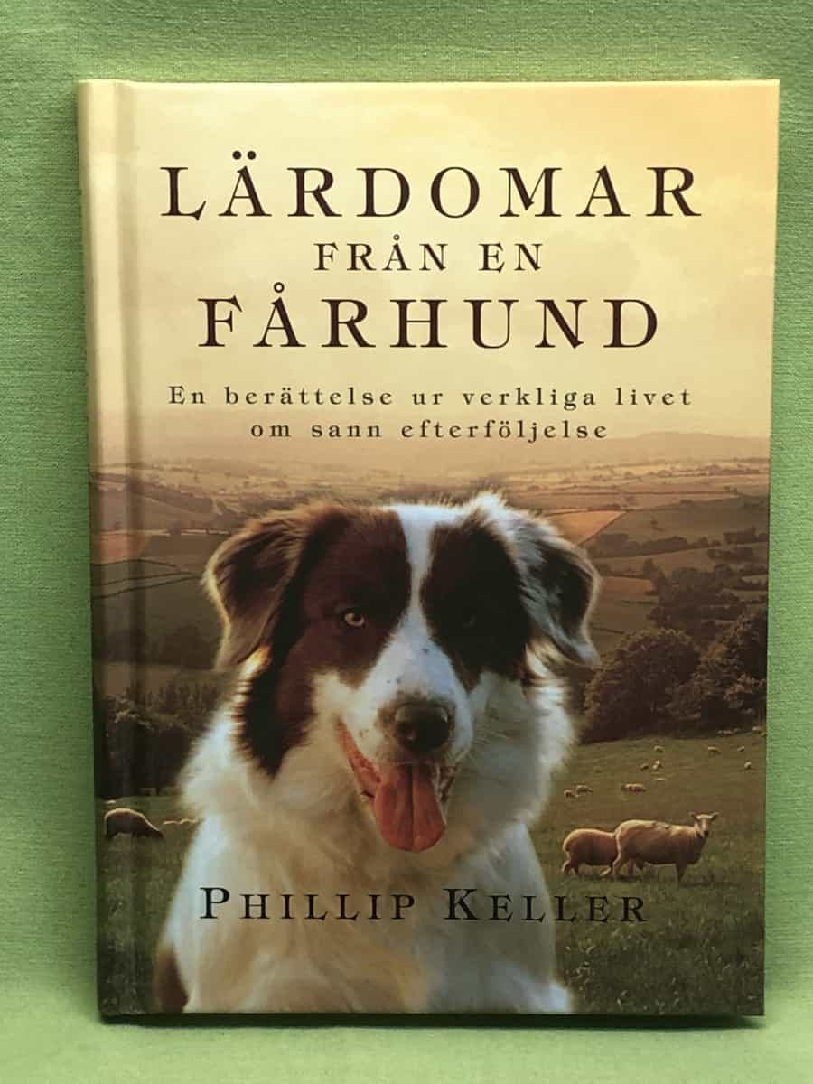 Jennifer Marohasy : Climate change