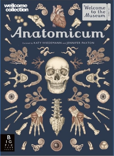 Jennifer Paxton : Anatomicum