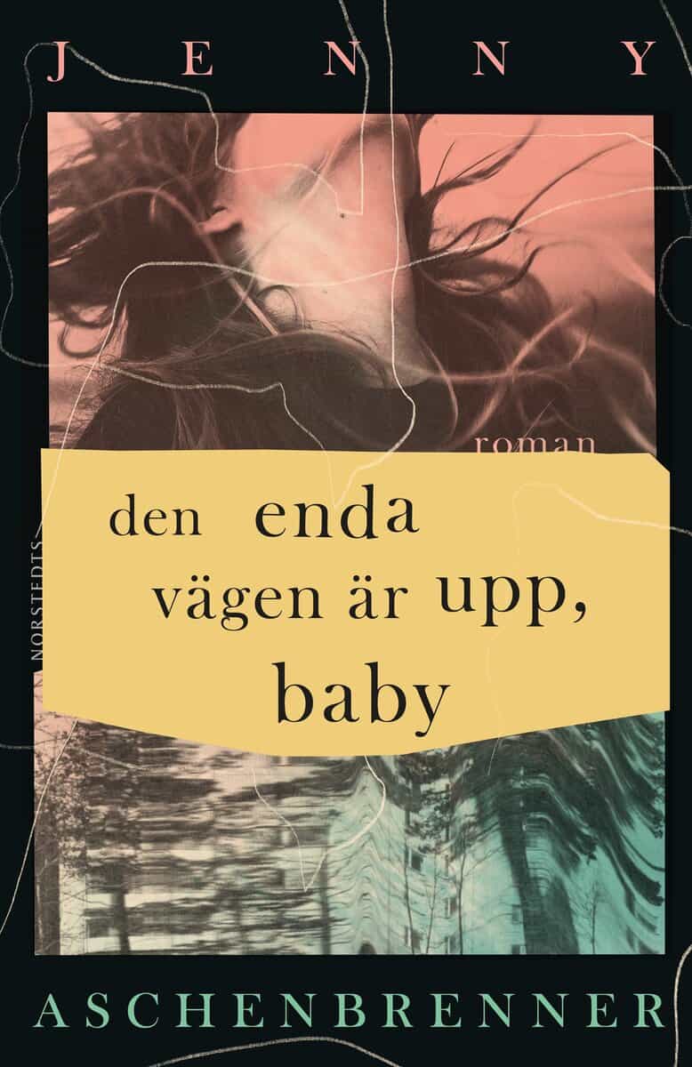 Jenny Aschenbrenner : Den enda vägen är upp, baby