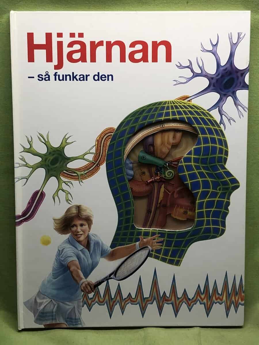 Jenny Bryan : Hjärnan - så funkar den