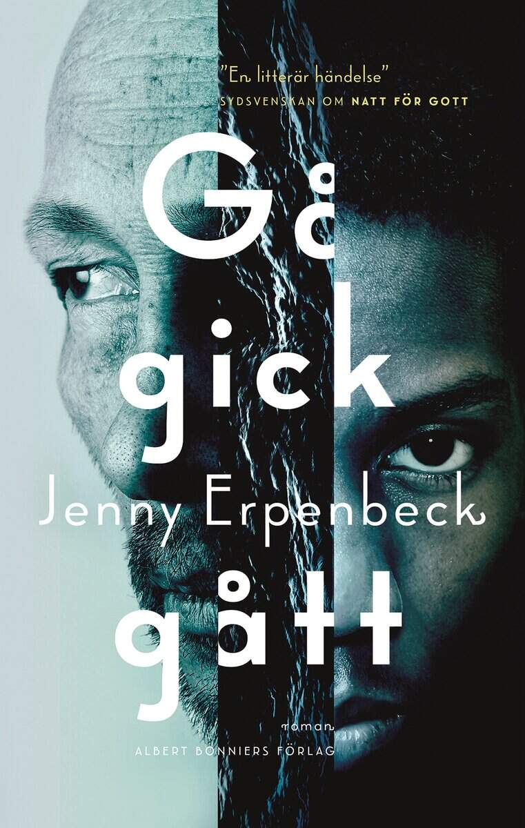 Jenny Erpenbeck : Gå, gick, gått