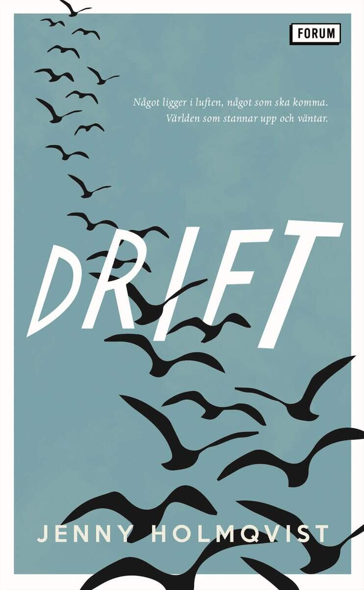 Jenny Holmqvist : Drift