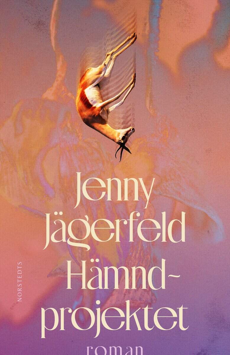 Jenny Jägerfeld : Hämndprojektet