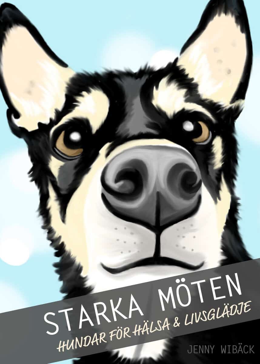 Jenny Wibäck : Starka möten : hundar för hälsa & livsglädje