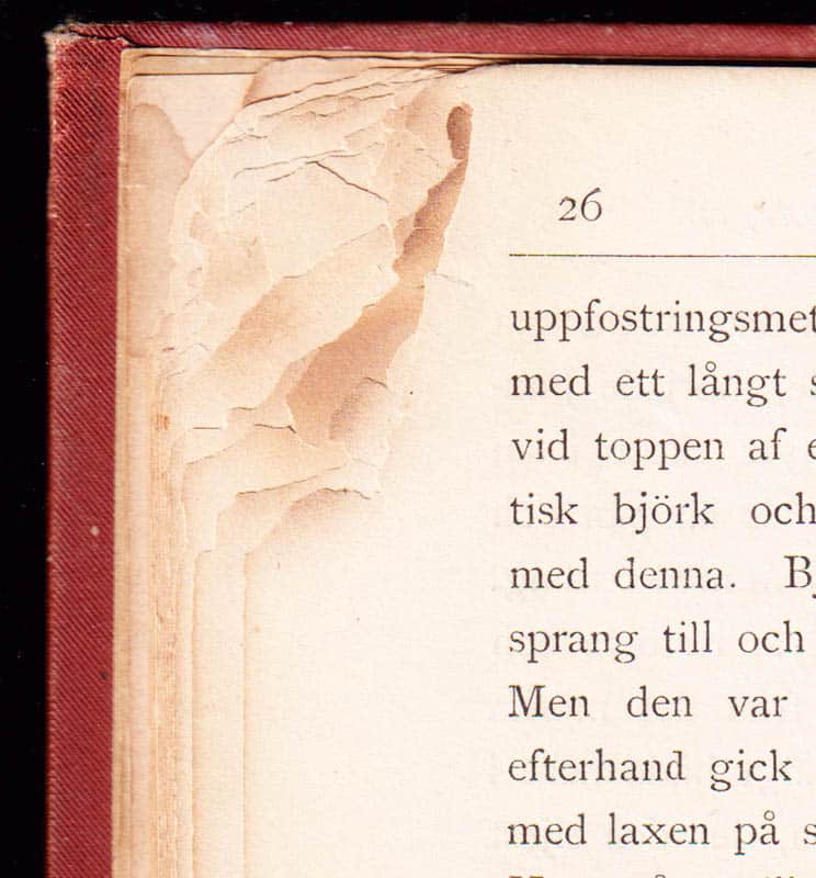 Jens Andreas Friis : Lajla, eller skildringar från Finmarken. Bemyndigad öfversättning