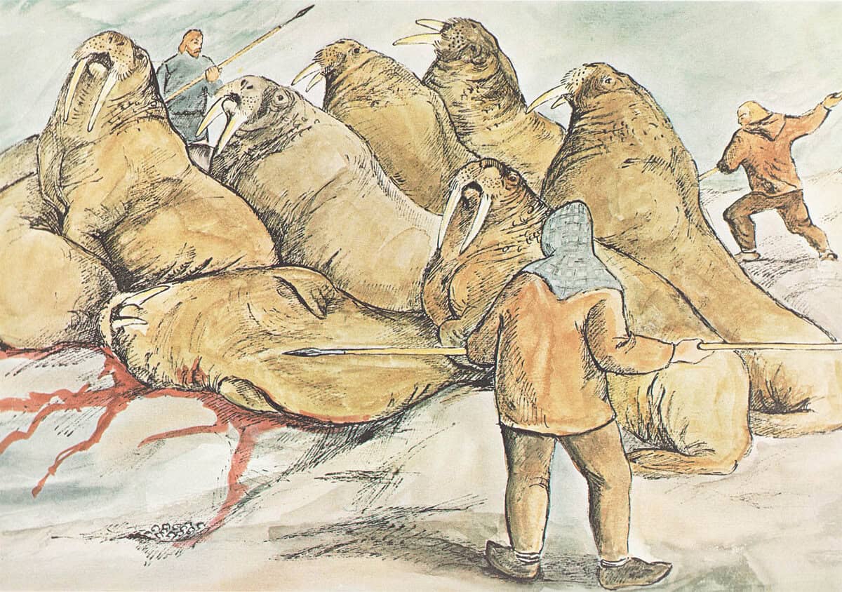 Jens Rosing : Ting og undere i Grønland