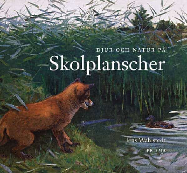 Jens Wahlstedt : Djur och natur på skolplanscher