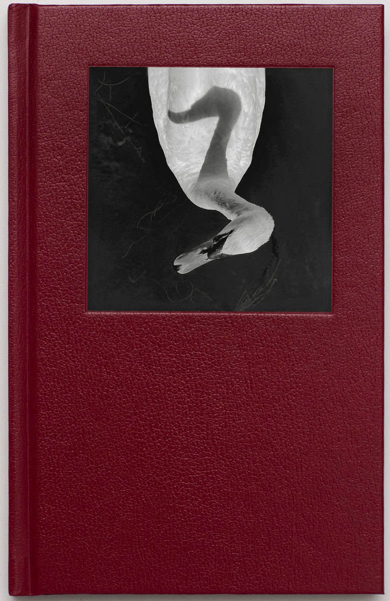 Jerker Andersson : Animal Diary