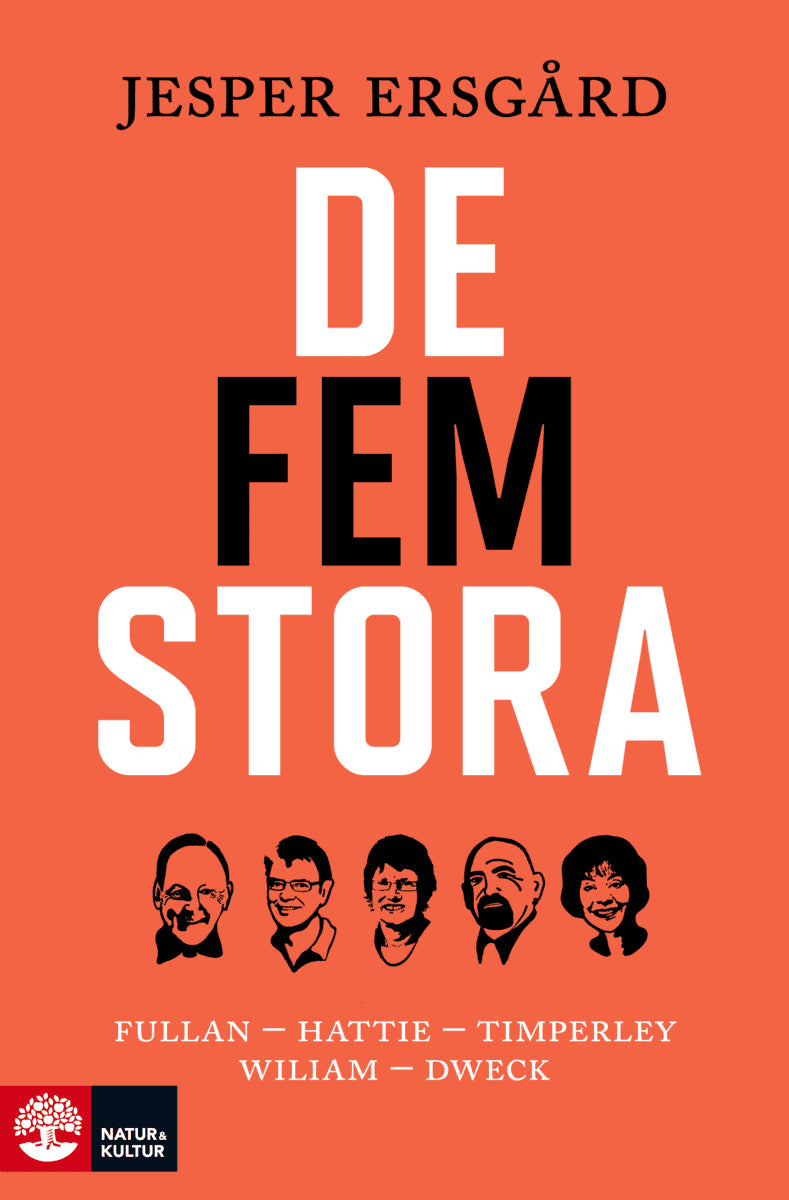 Jesper Ersgård : De fem stora : Fullan - Hattie - Timperley - Wiliam - Dweck
