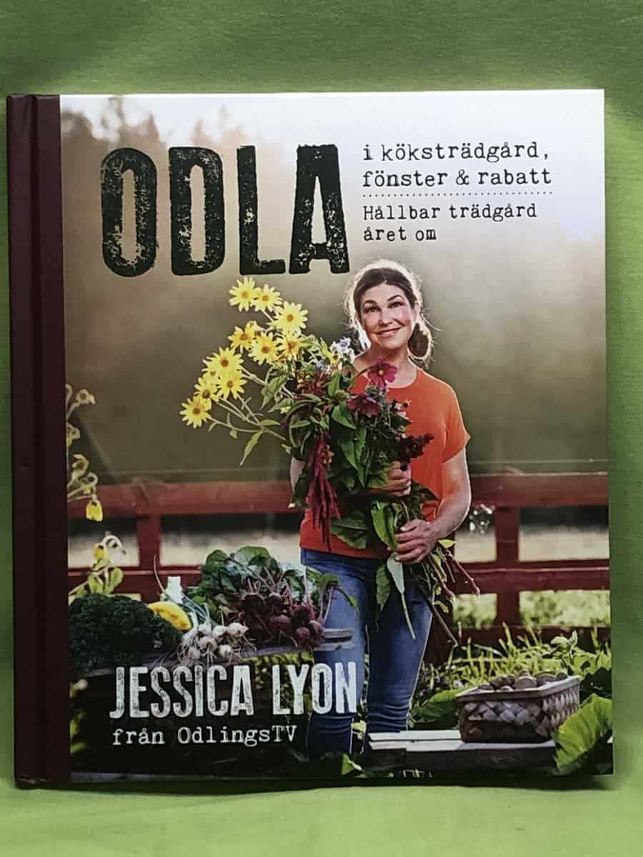 Jessica Lyon : Odla i köksträdgård, fönster & rabatt