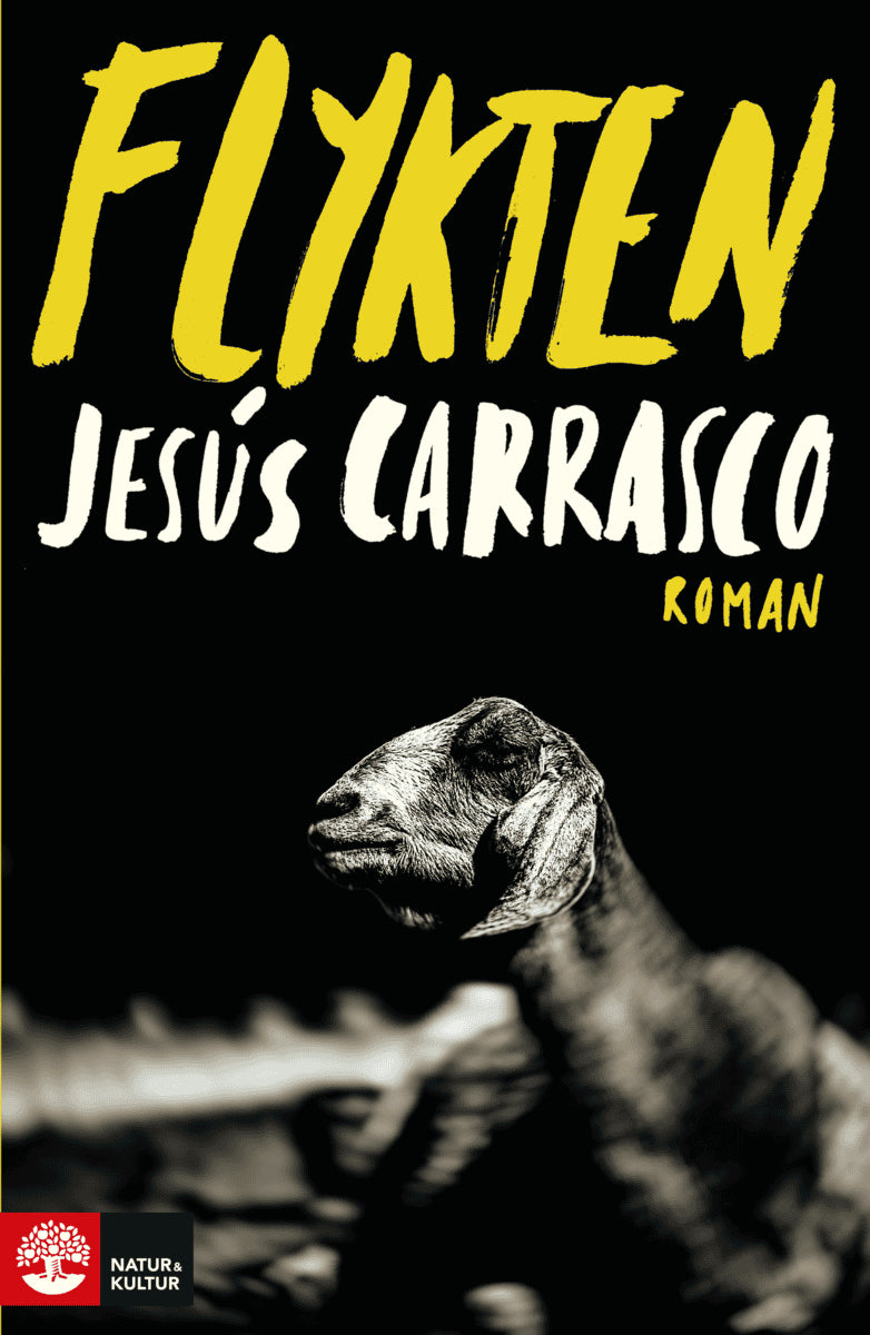 Jesús Carrasco : Flykten