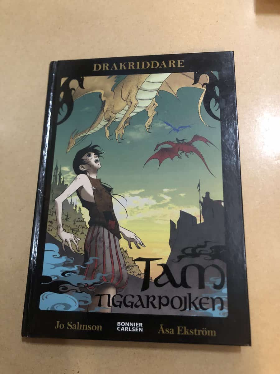 Jo Salmson : Drakriddare 1 - Tam, tiggarpojken