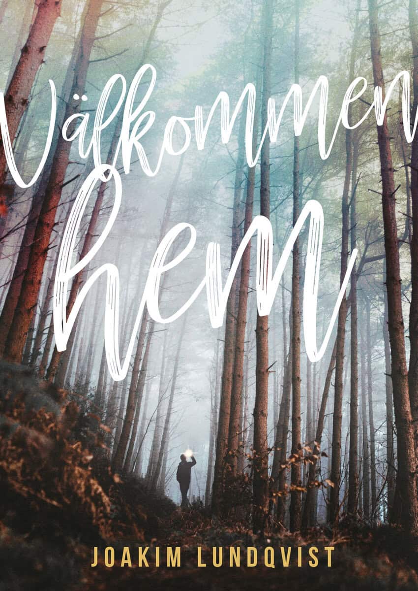 Joakim Lundqvist : Välkommen hem
