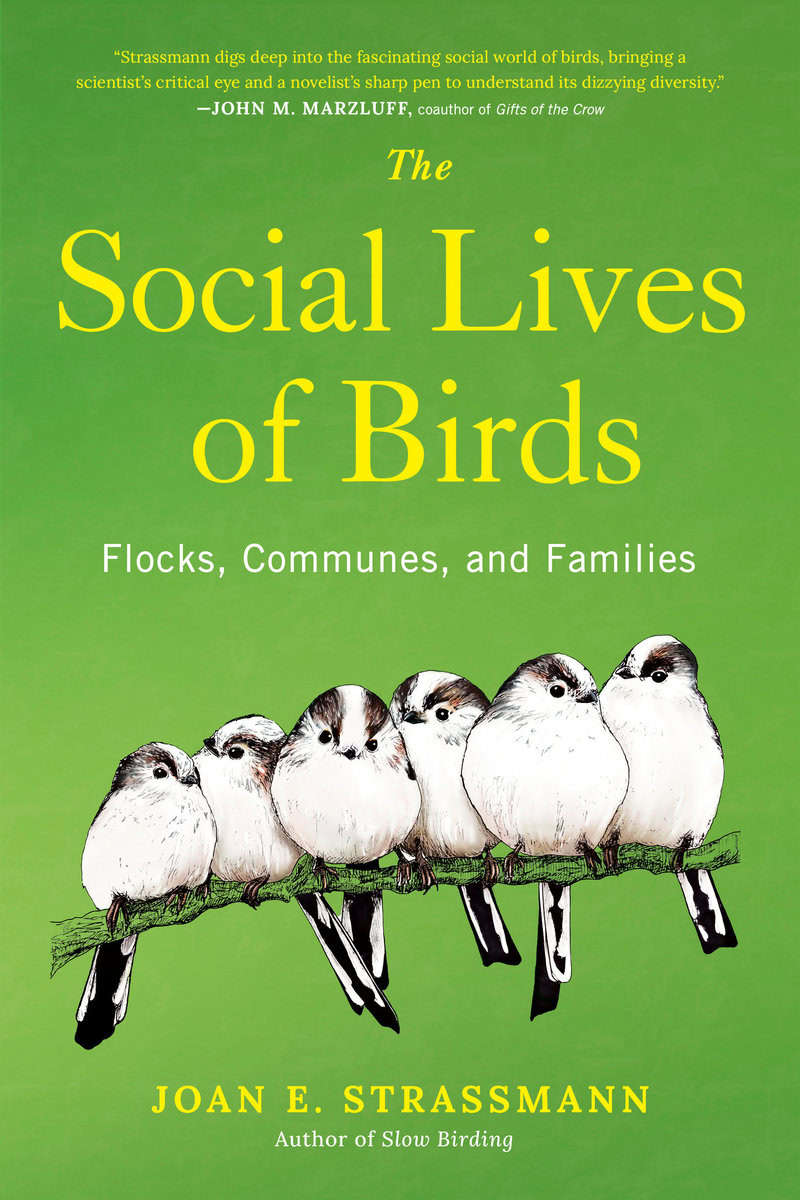 Joan E. Strassmann : The Social Lives of Birds