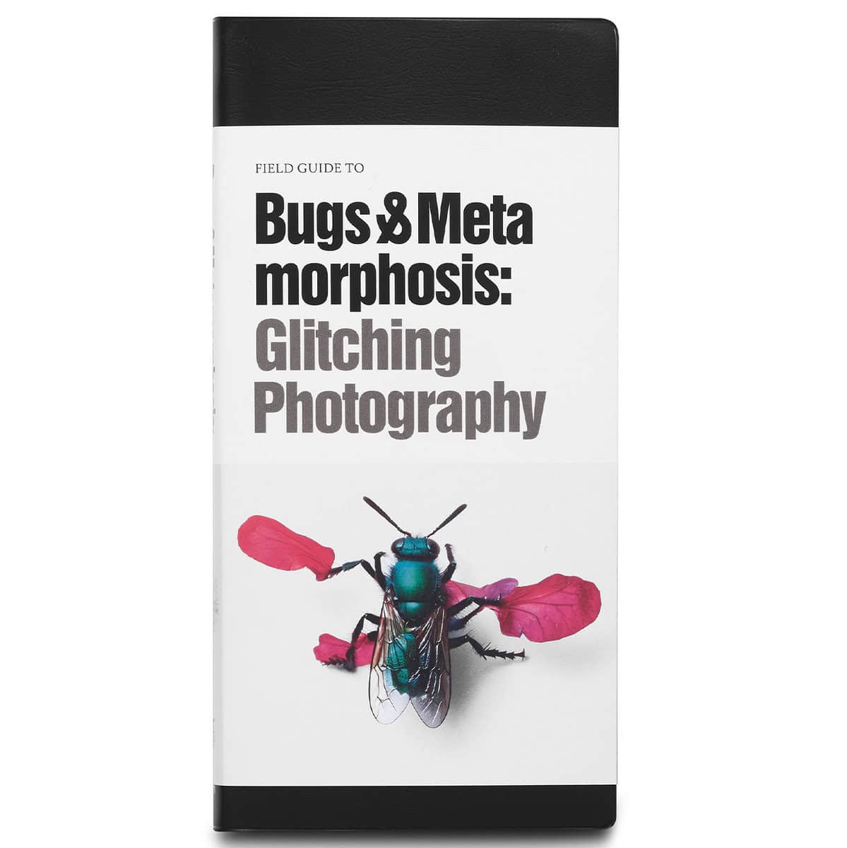 Zylinska, Joanna ; Wulia, Tintin ; Wolthers, Louise ; Pedersen, Peter Ole ; Overgaard, Majken ; Nielsen, Peter ; Mangalanayagam, Nina ; Klasto, Cathryn : Field guide to bugs & metamorphosis