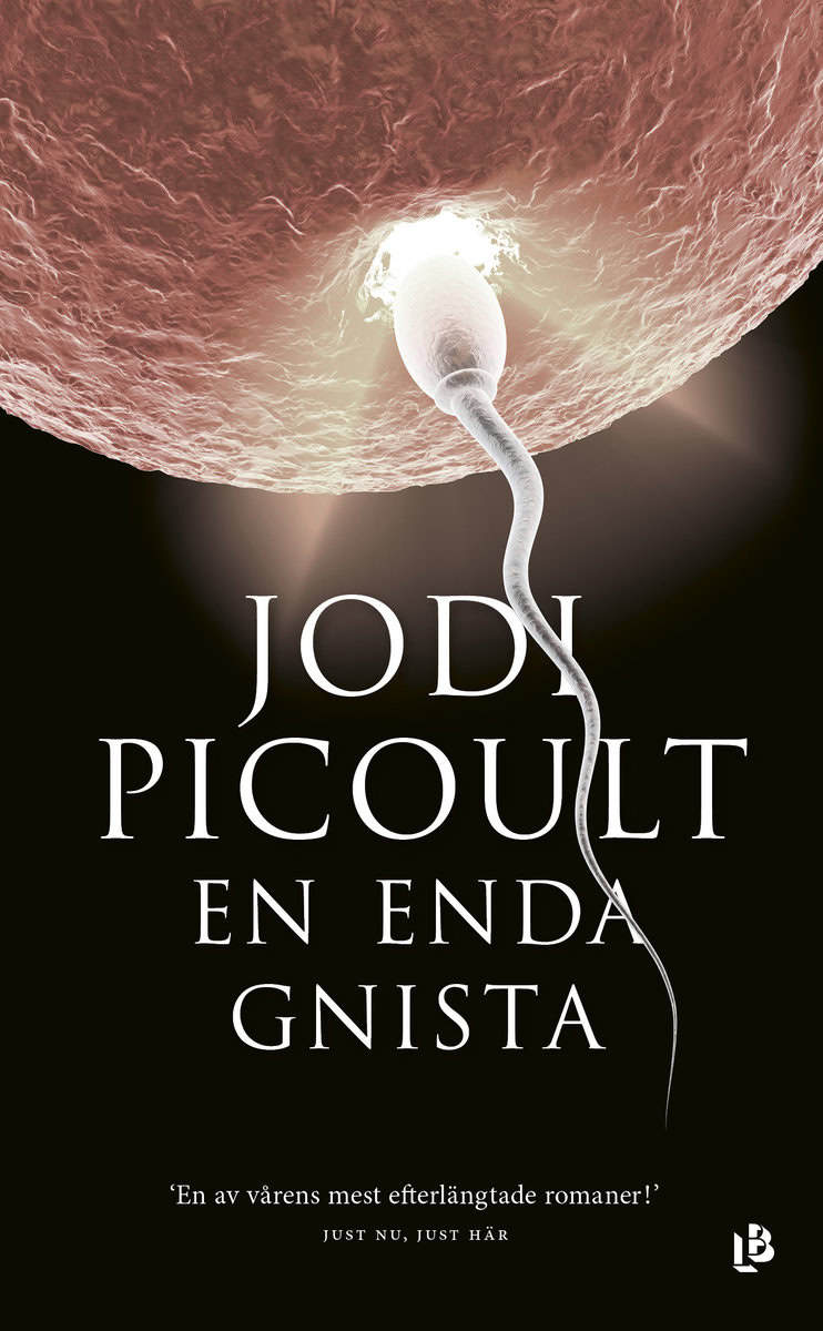 Jodi Picoult : En enda gnista