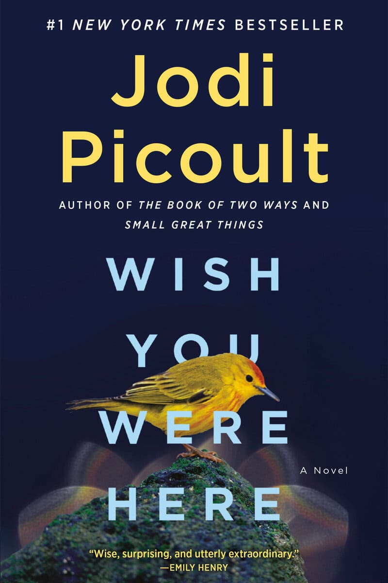 Jodi Picoult : Wish You Were Here