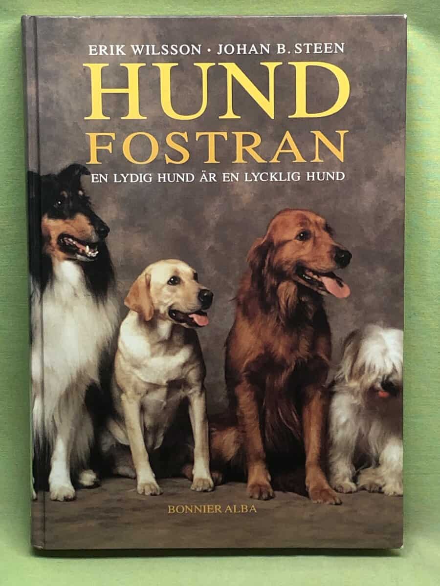 Johan B Steen Erik Wilsson : Hundfostran