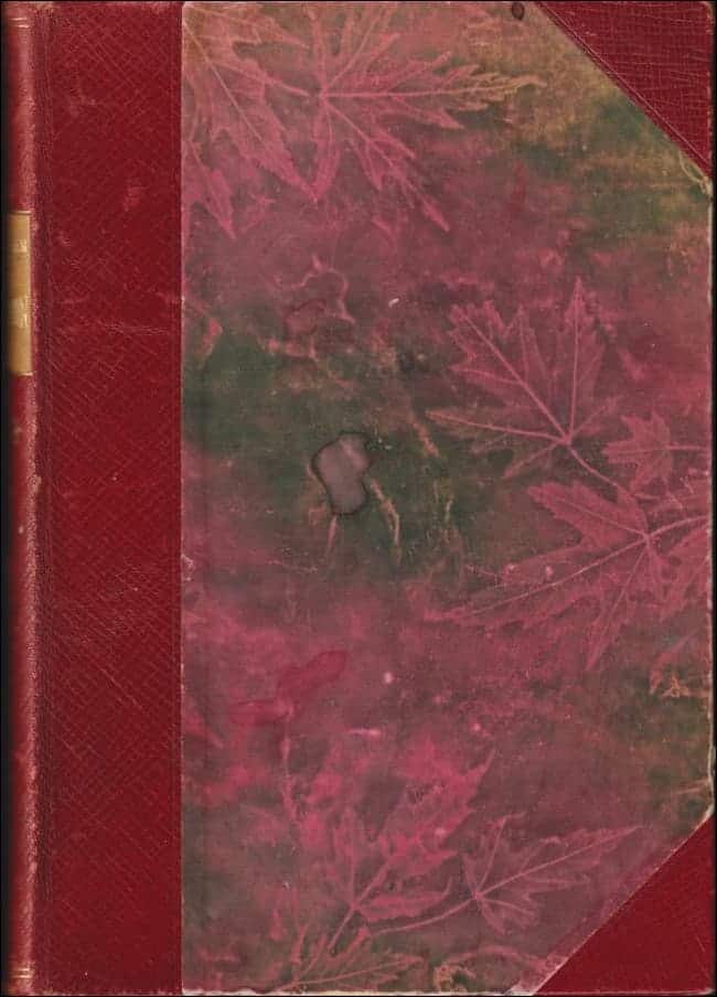 Johan Bergman : Napoleon och världskriget för 100 år sedan